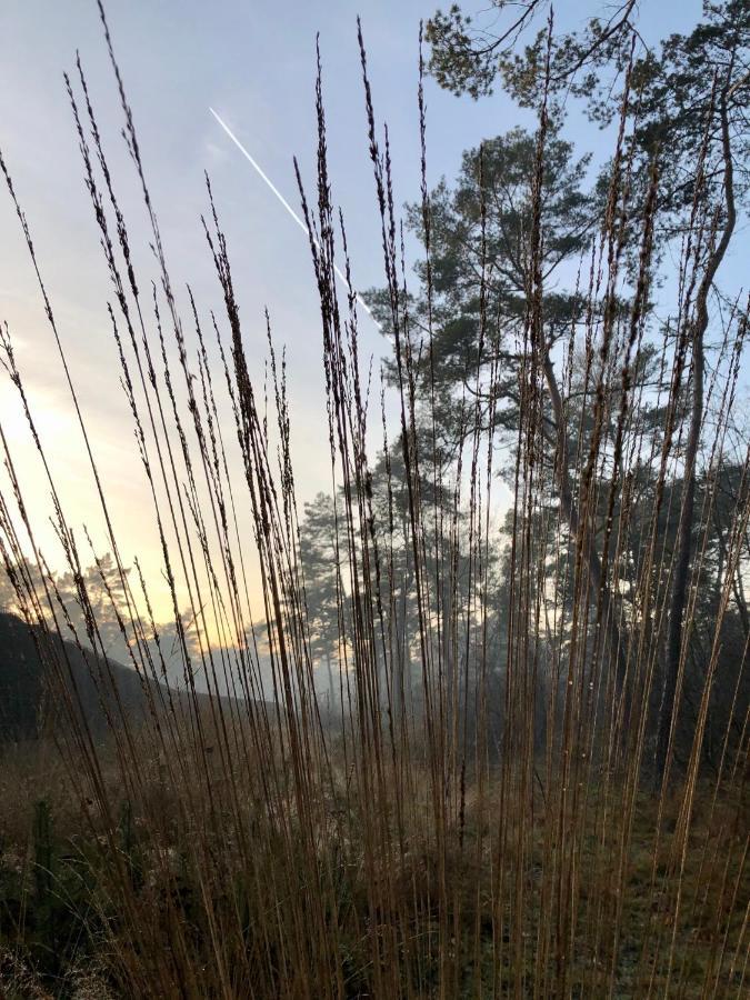 Het Natuurhuisje Op De Veluwe Nunspeet Exterior foto