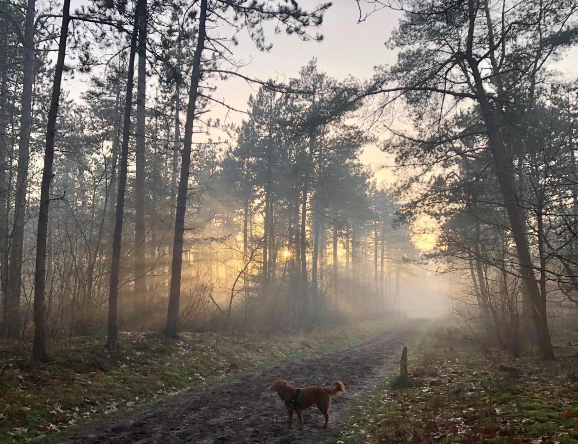 Het Natuurhuisje Op De Veluwe Nunspeet Exterior foto