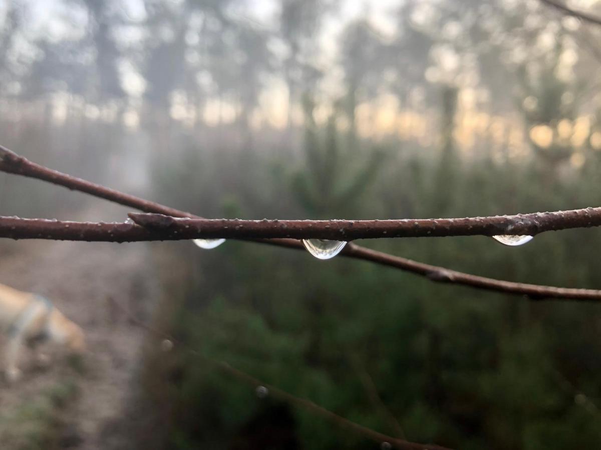 Het Natuurhuisje Op De Veluwe Nunspeet Exterior foto