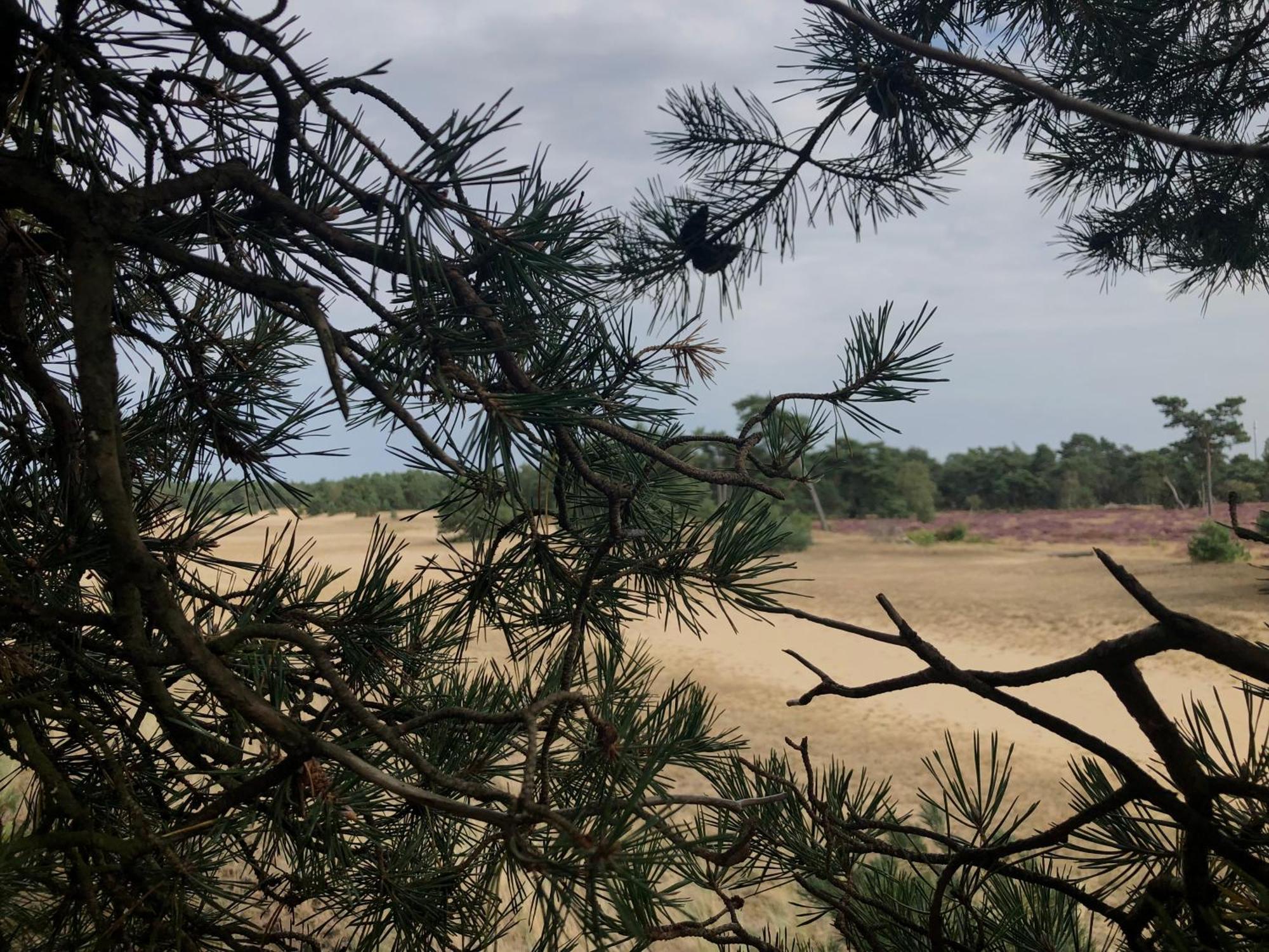 Het Natuurhuisje Op De Veluwe Nunspeet Exterior foto